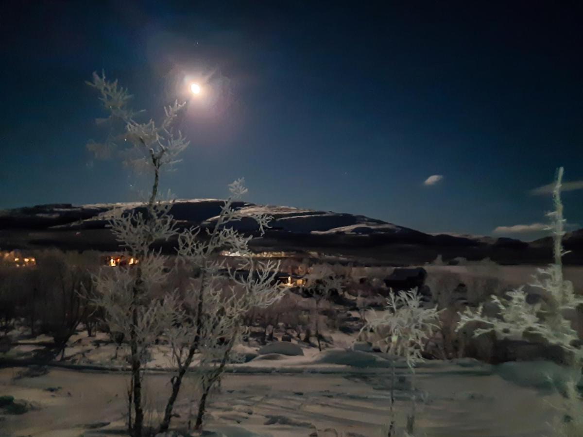 Naali Moekki Hotel Kilpisjärvi Eksteriør billede